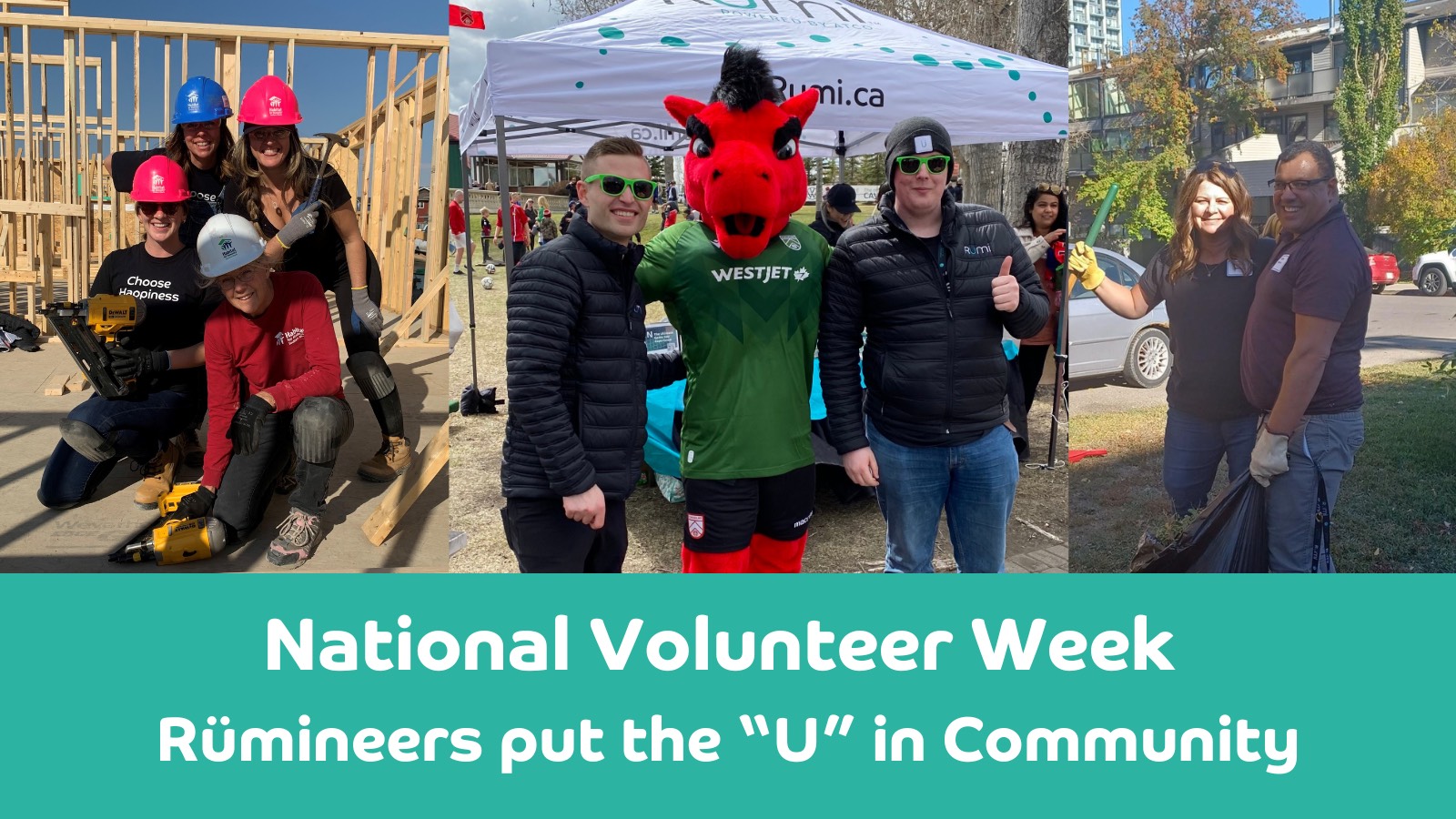 Rümi volunteers helping in the community by volunteering. Graphic words say "National Volunteer Week Rümineers put the 'U' in community"