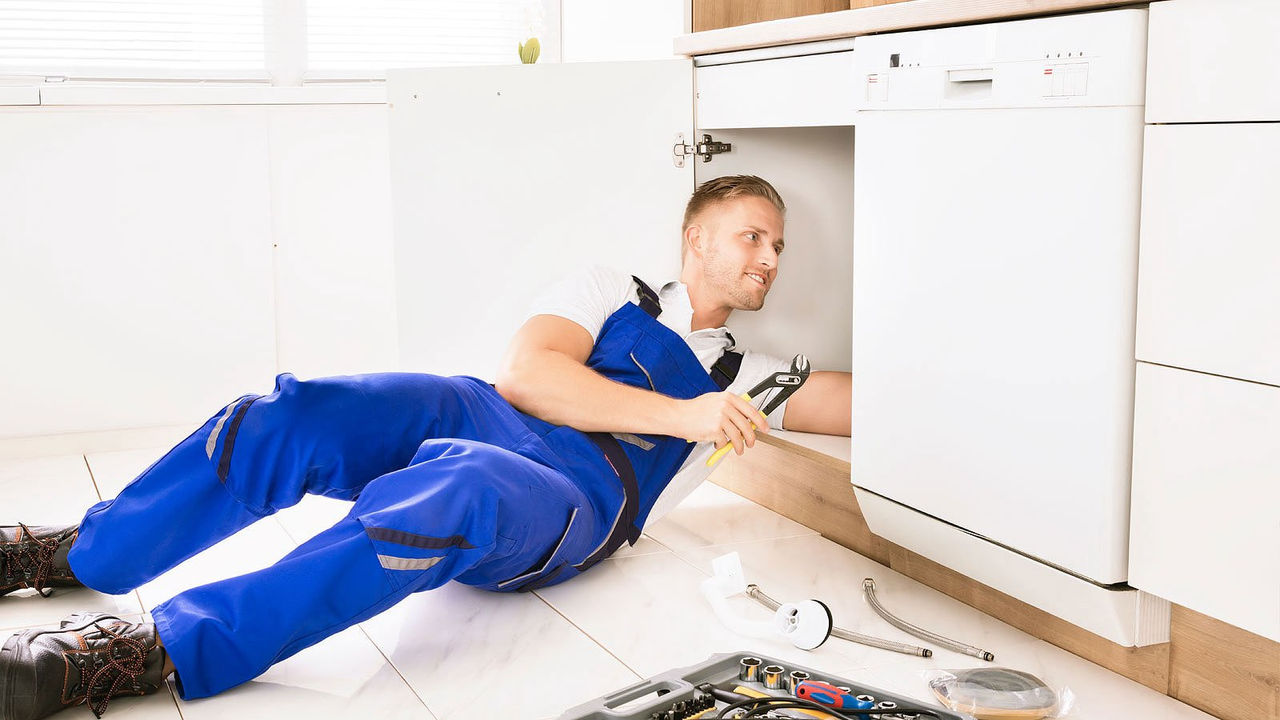 Garbage disposal repair store service near me