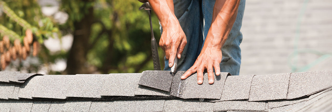 Get roof repair and maintenance services in Calgary and Edmonton! Our professional roofers work with all major roof types and materials. 