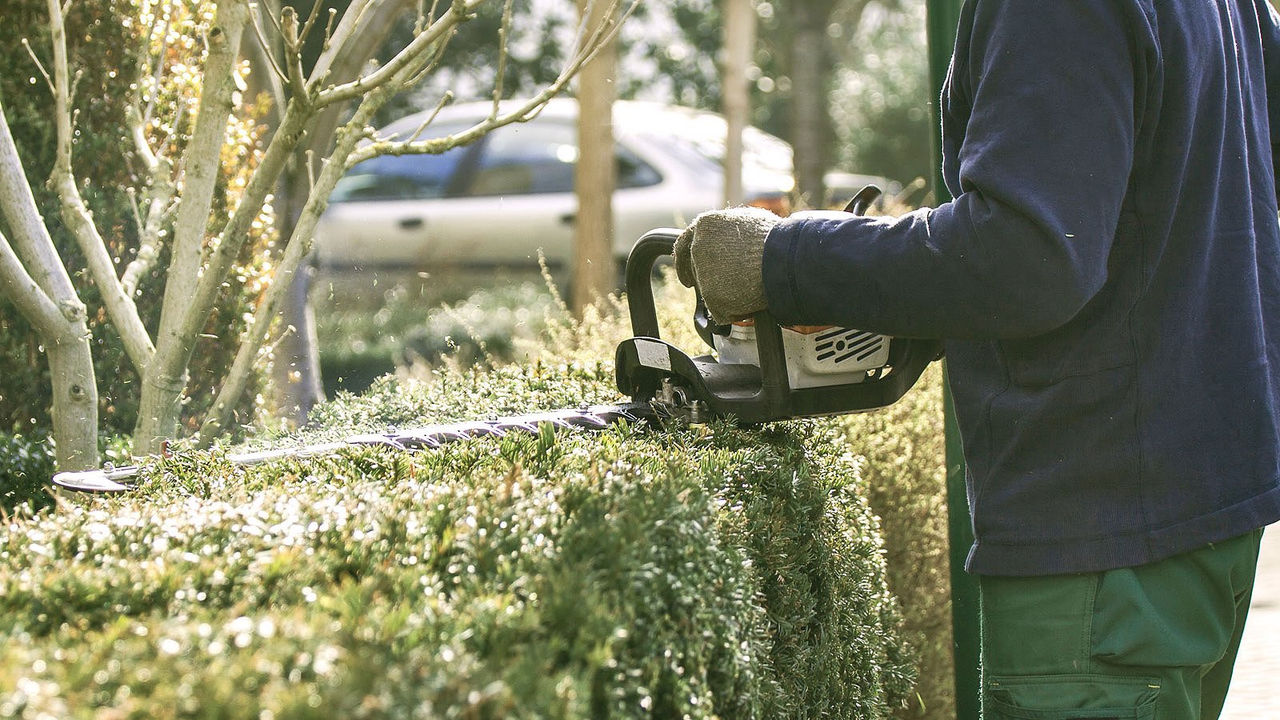 Rümi experts can help you with your spring yard cleanup. Contact an advisor today to get connected with a contractor in Calgary, Alberta.